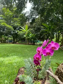 Imagem 3 - Chácara em Jockey Camping, Uberlândia - MG