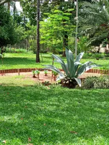 Imagem 5 - Chácara em Jockey Camping, Uberlândia - MG