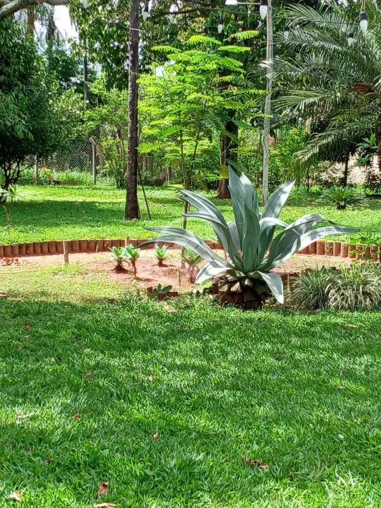 Imagem 5 - Chácara em Jockey Camping, Uberlândia - MG