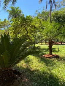 Imagem 4 - Chácara em Jockey Camping, Uberlândia - MG