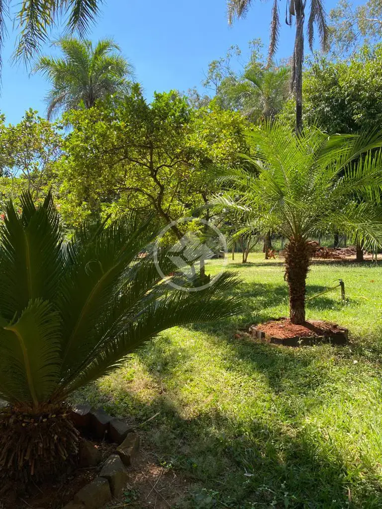 Imagem 4 - Chácara em Jockey Camping, Uberlândia - MG