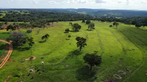 Imagem 5 - Fazenda em Zona Rural, Gurinhatã - MG
