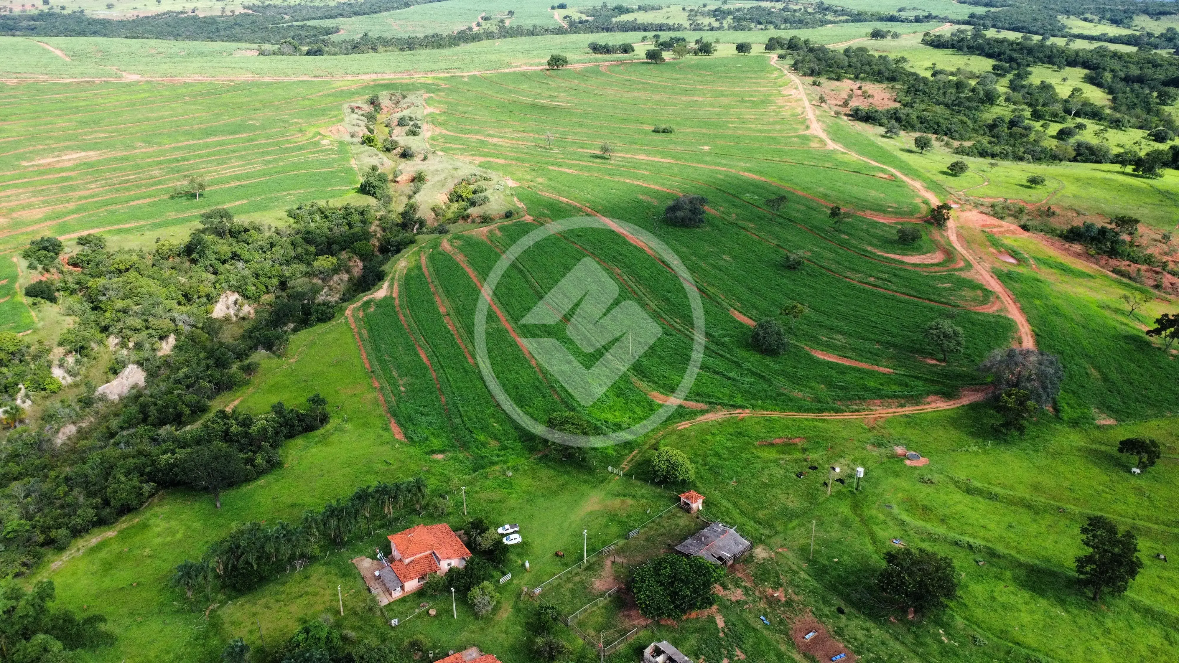 Image 2 - Fazenda em Zona Rural, Gurinhatã - MG