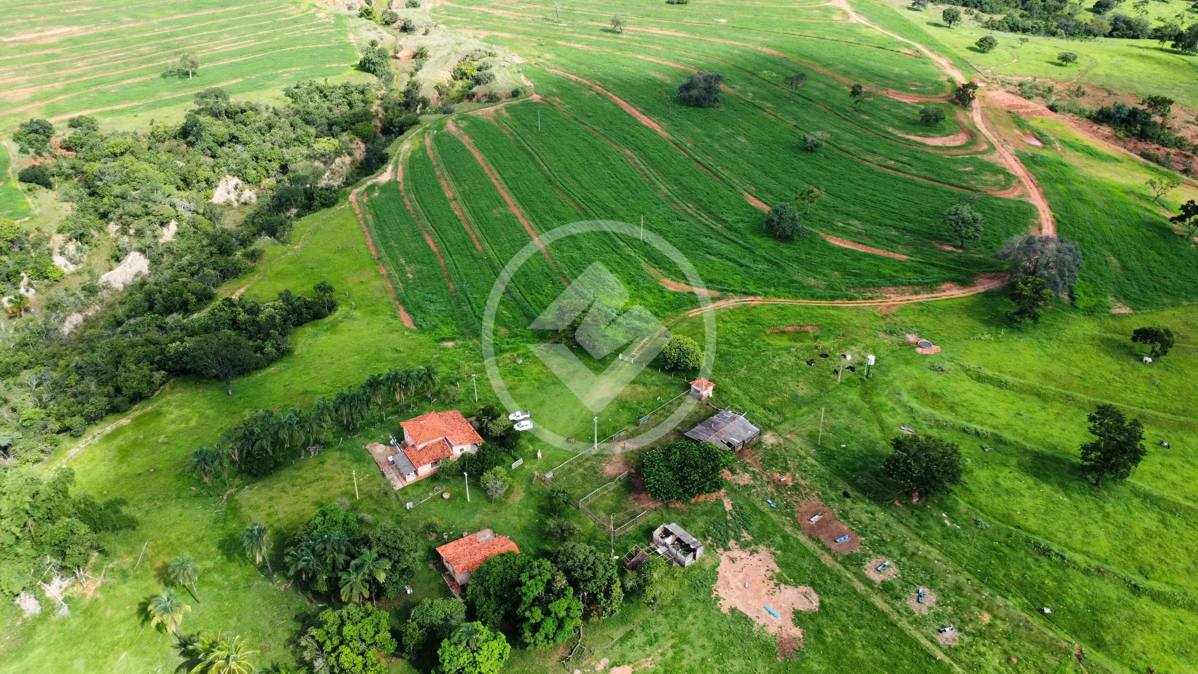 Imagem 1 - Fazenda em Zona Rural, Gurinhatã - MG