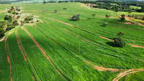 Imagem 4 - Fazenda em Zona Rural, Gurinhatã - MG