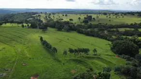 Imagem 2 - Fazenda em Zona Rural, Gurinhatã - MG