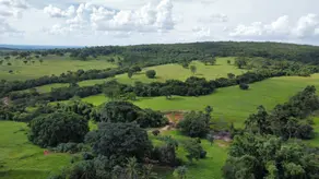 Imagem 6 - Fazenda em Zona Rural, Gurinhatã - MG