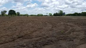 Imagem 6 - Fazenda em Setor Central, Gurupi - TO