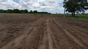 Imagem 5 - Fazenda em Setor Central, Gurupi - TO