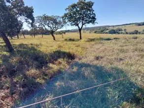 Imagem 2 - Fazenda em Área Rural de Uberlândia, Uberlândia - MG