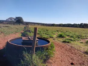 Imagem 6 - Fazenda em Área Rural de Uberlândia, Uberlândia - MG
