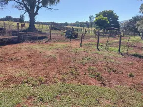 Imagem 4 - Fazenda em Área Rural de Uberlândia, Uberlândia - MG