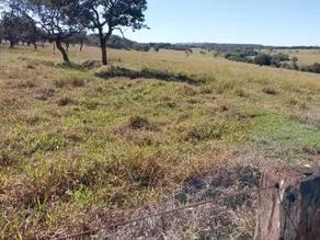 Fazenda Área Rural de Uberlândia, Uberlândia - MG — foto 2