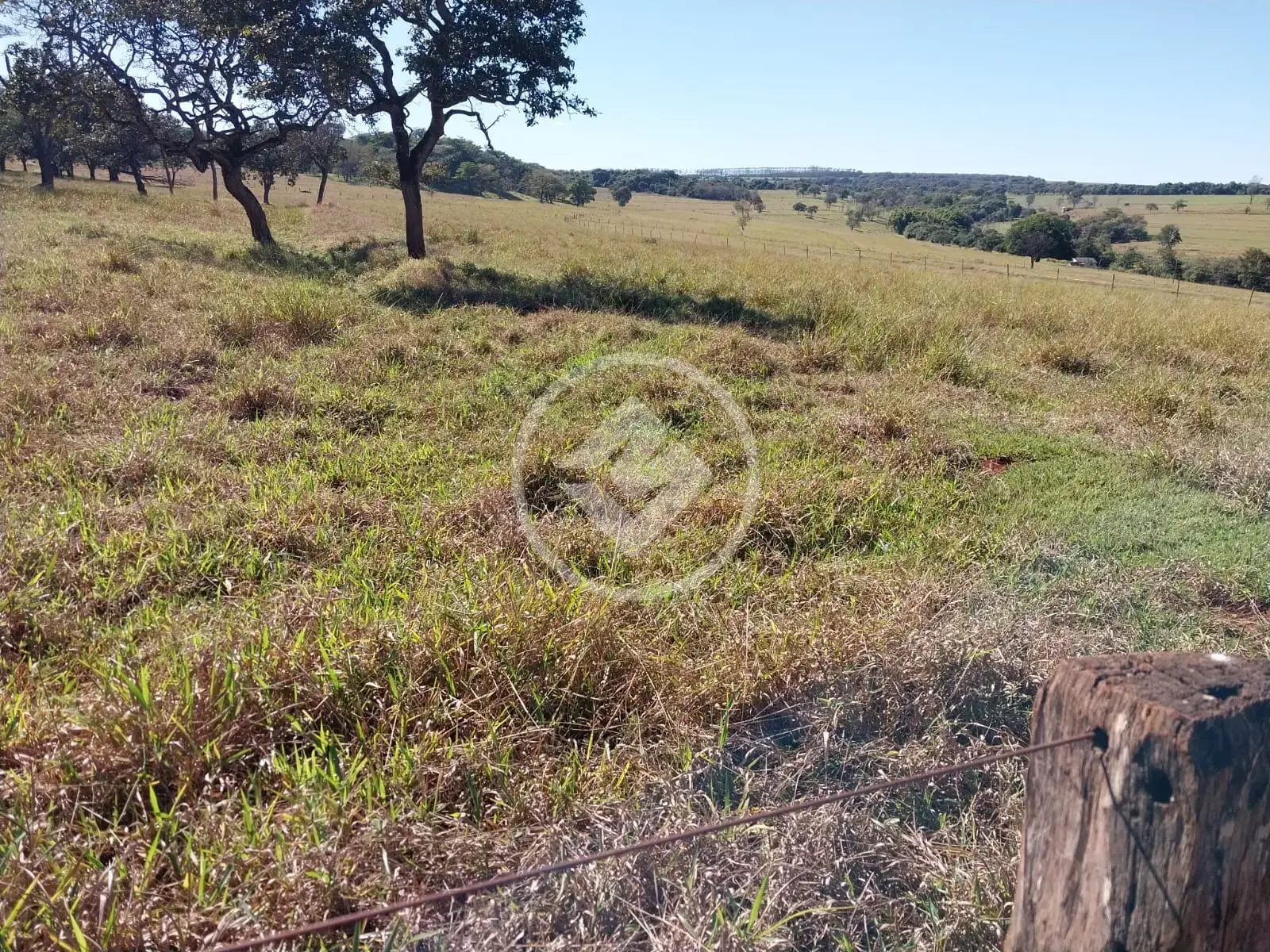 Image 2 - Fazenda em Área Rural de Uberlândia, Uberlândia - MG