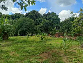 Imagem 4 - Chácara em Área Rural de Uberlândia, Uberlândia - MG