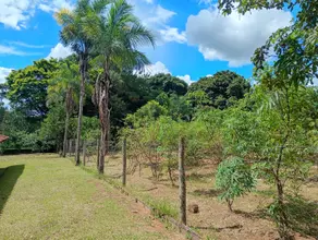 Imagem 3 - Chácara em Área Rural de Uberlândia, Uberlândia - MG