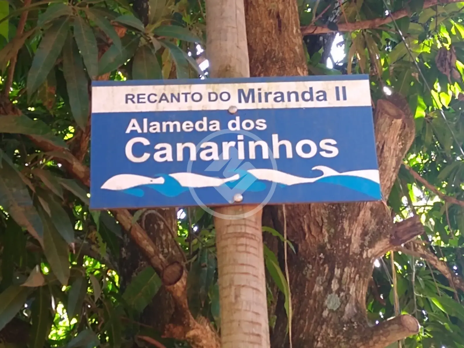 Image 2 - Chácara em Condominio Miranda, Indianópolis - MG