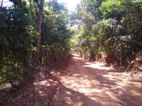 Imagem 3 - Chácara em Condominio Miranda, Indianópolis - MG