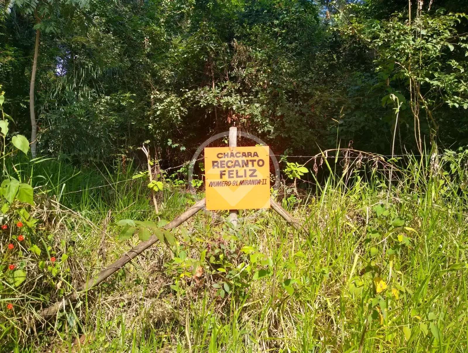 Imagem 1 - Chácara em Condominio Miranda, Indianópolis - MG