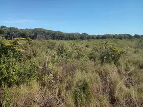 Imagem 2 - Fazenda em Área Rural Poconé, Poconé - MT