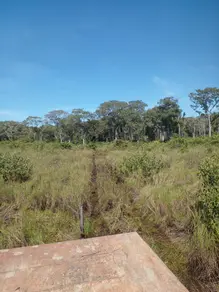 Fazenda Área Rural Poconé, Poconé - MT — foto 1