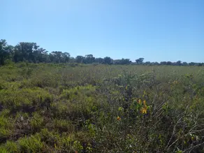 Imagem 4 - Fazenda em Área Rural Poconé, Poconé - MT