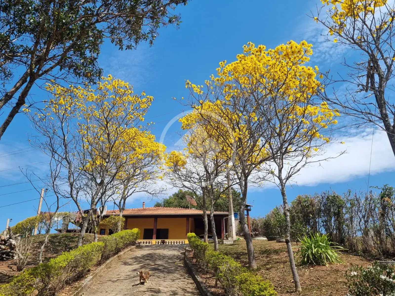 Image 2 - Chácara em Área Rural de Itajubá, Itajubá - MG