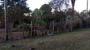 Imagem 2 - Chácara em Jardim das Palmeiras, Uberlândia - MG