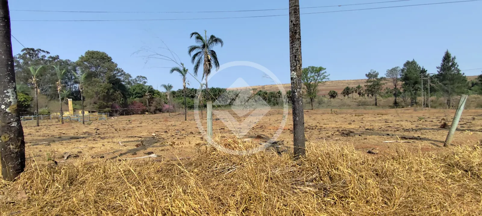 Imagem 4 - Chácara em Área Rural de Uberlândia, Uberlândia - MG