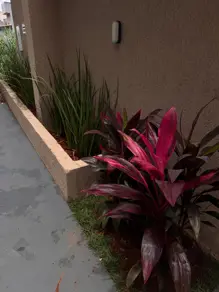 Casa Loteamento Tropical Ville, Goiânia - GO — foto 2