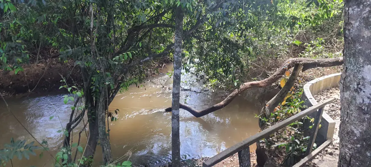 Imagem 4 - Chácara em Aldeia das Águas, Bela Vista de Goiás - GO