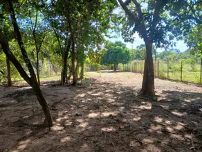 Imagem 5 - Chácara em Edealina, Edealina - GO