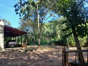 Imagem 3 - Chácara em Edealina, Edealina - GO