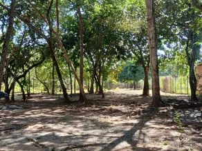 Imagem 4 - Chácara em Edealina, Edealina - GO