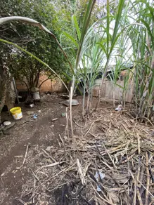 Imagem 6 - Casa em Colina Azul, Aparecida de Goiânia - GO