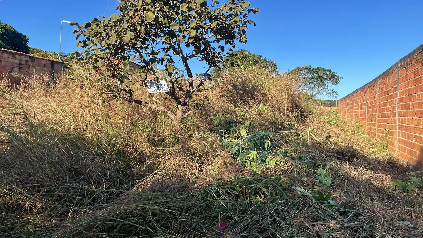 Image 2 - Terreno em Jardim Sao Conrado, Aparecida de Goiânia - GO