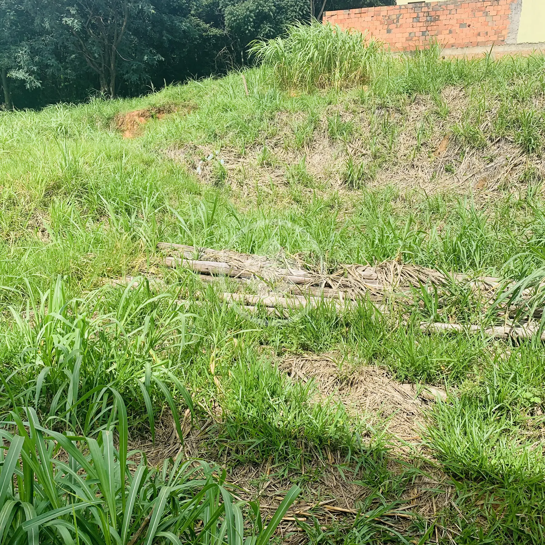 Imagem 5 - Terreno em Capela, Vinhedo - SP
