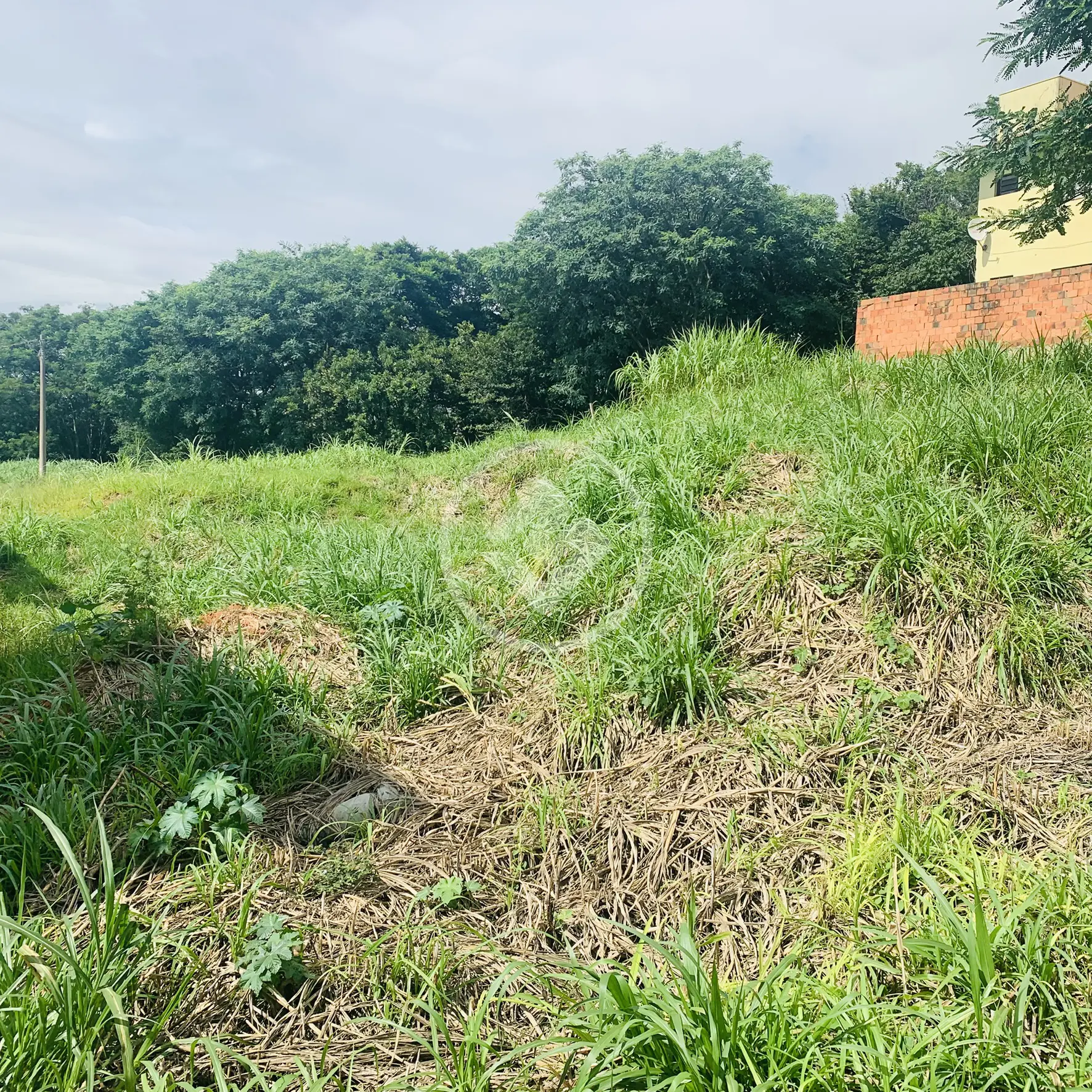 Imagem 1 - Terreno em Capela, Vinhedo - SP