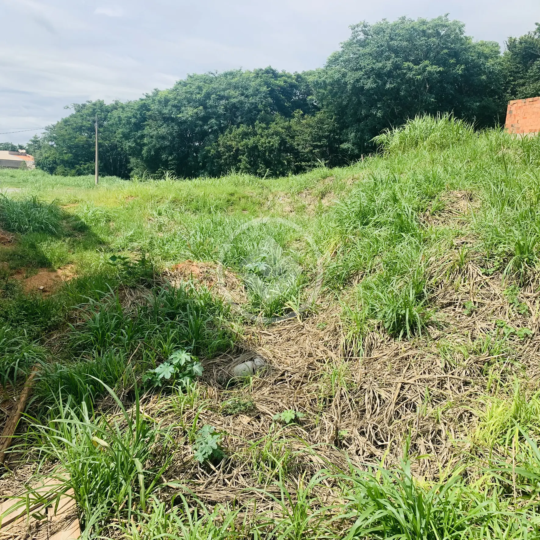 Imagem 1 - Terreno em Capela, Vinhedo - SP