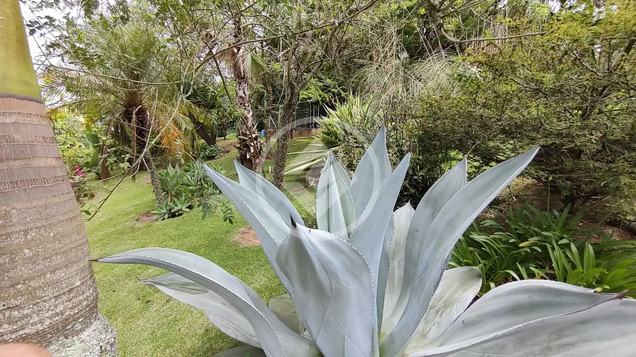 Imagem 5 - Casa Condomínio em Caixa D´Água, Vinhedo - SP