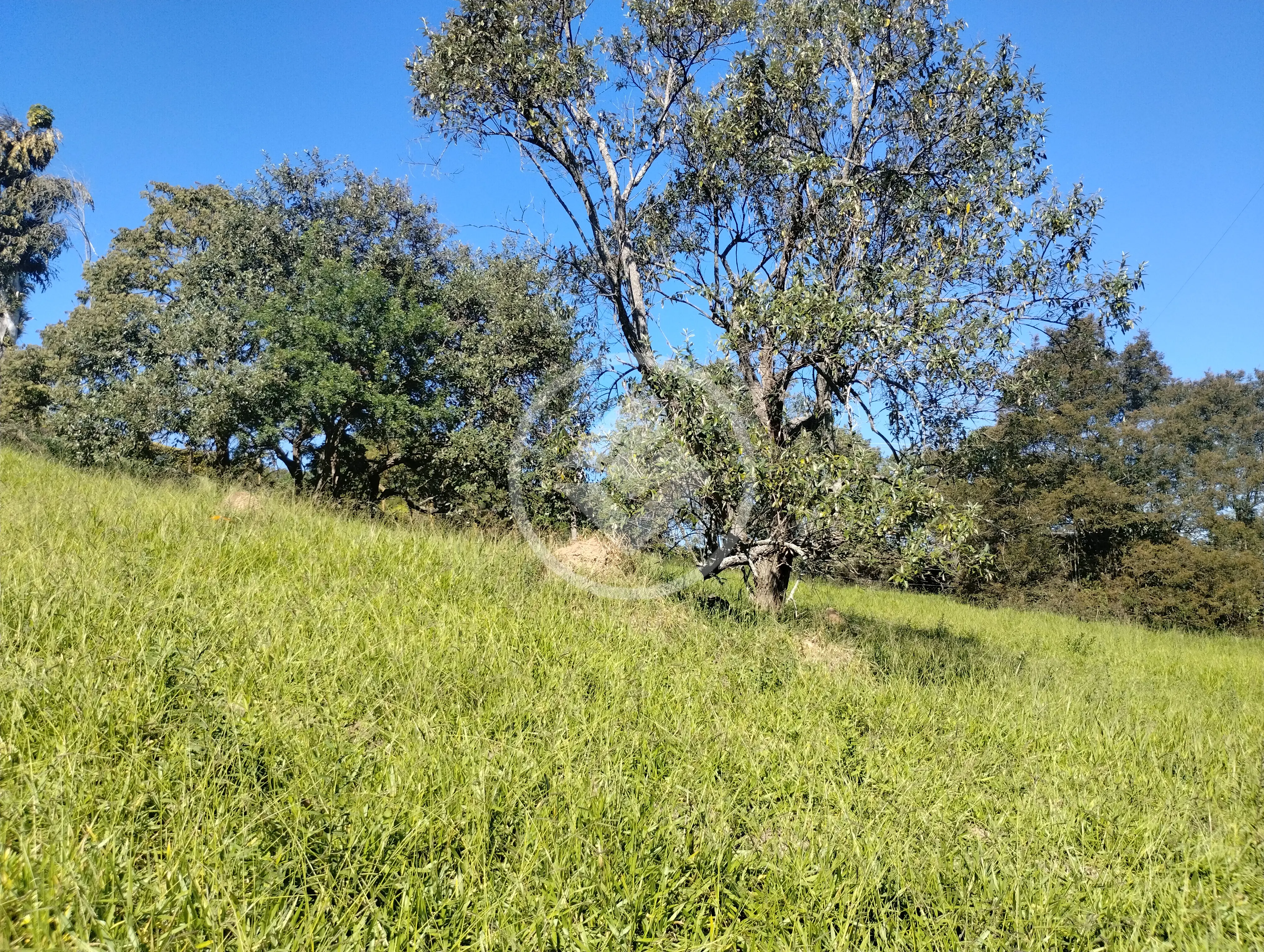 Terreno Condomínio Caixa D´Água, Vinhedo - SP — foto 1