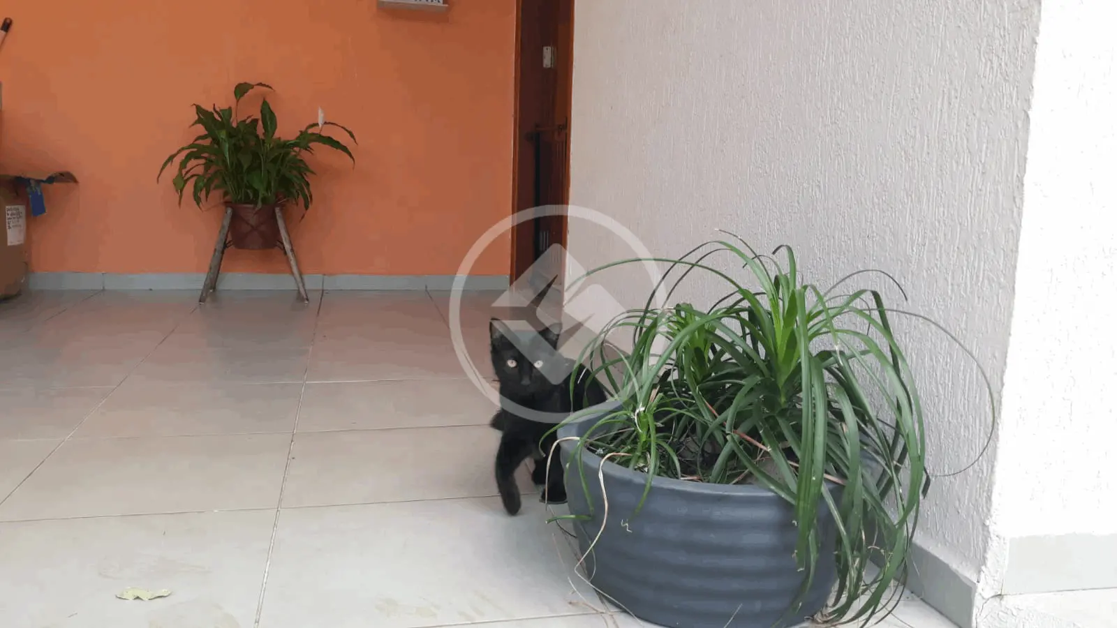 Imagem 2 - Casa Condomínio em Lenheiro, Valinhos - SP