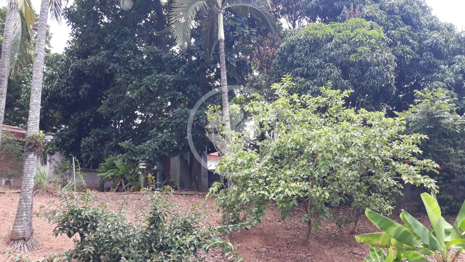 Imagem 3 - Casa em Santa Rosa, Vinhedo - SP