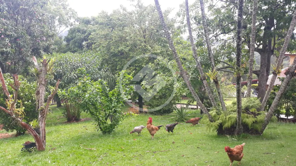 Imagem 5 - Casa Condomínio em Caixa D´Água, Vinhedo - SP