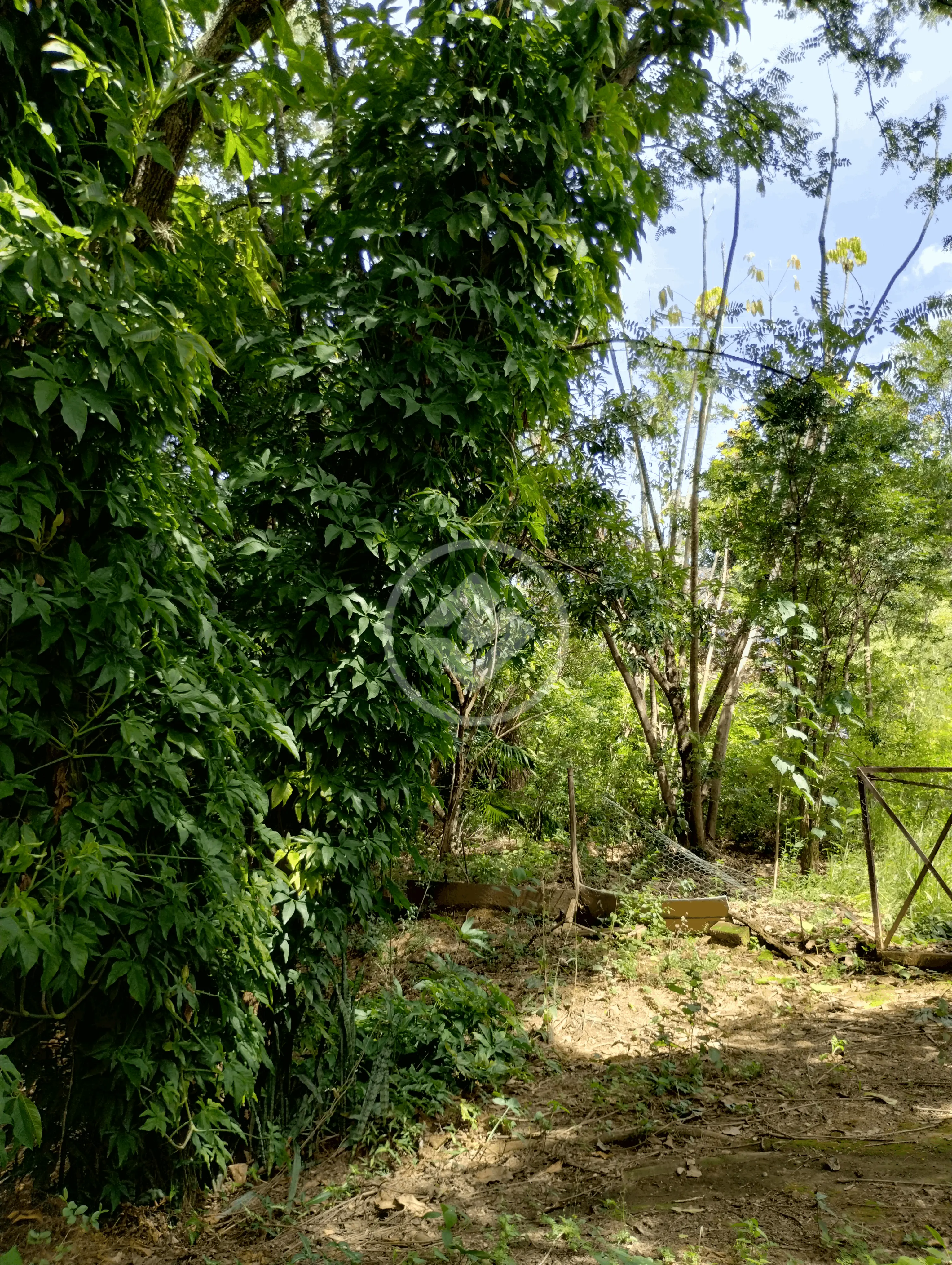 Image 71 - Casa Condomínio em Vista Alegre, Vinhedo - SP