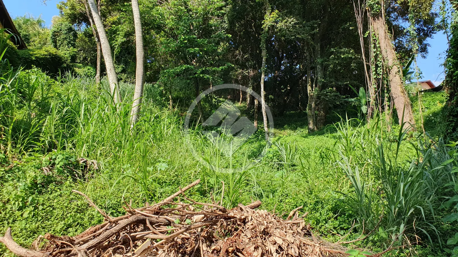 Imagem 5 - Terreno Condomínio em Marambaia, Vinhedo - SP