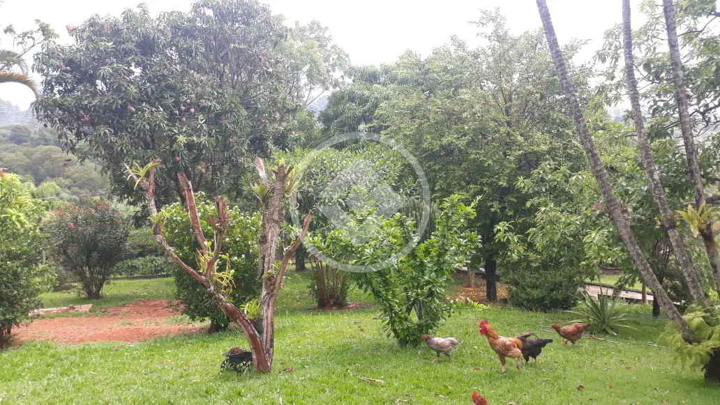Imagem 3 - Casa Condomínio em Caixa D´Água, Vinhedo - SP