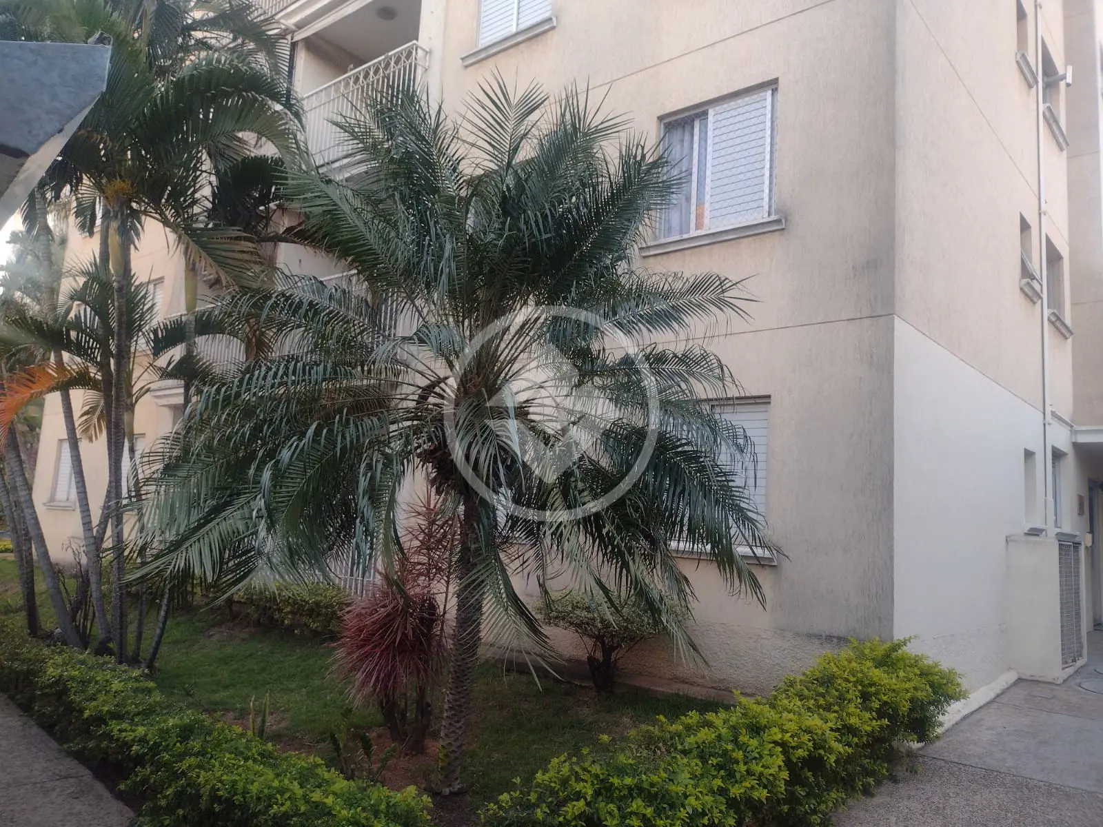 Imagem 1 - Apartamento em Vila Nova Teixeira, Campinas - SP