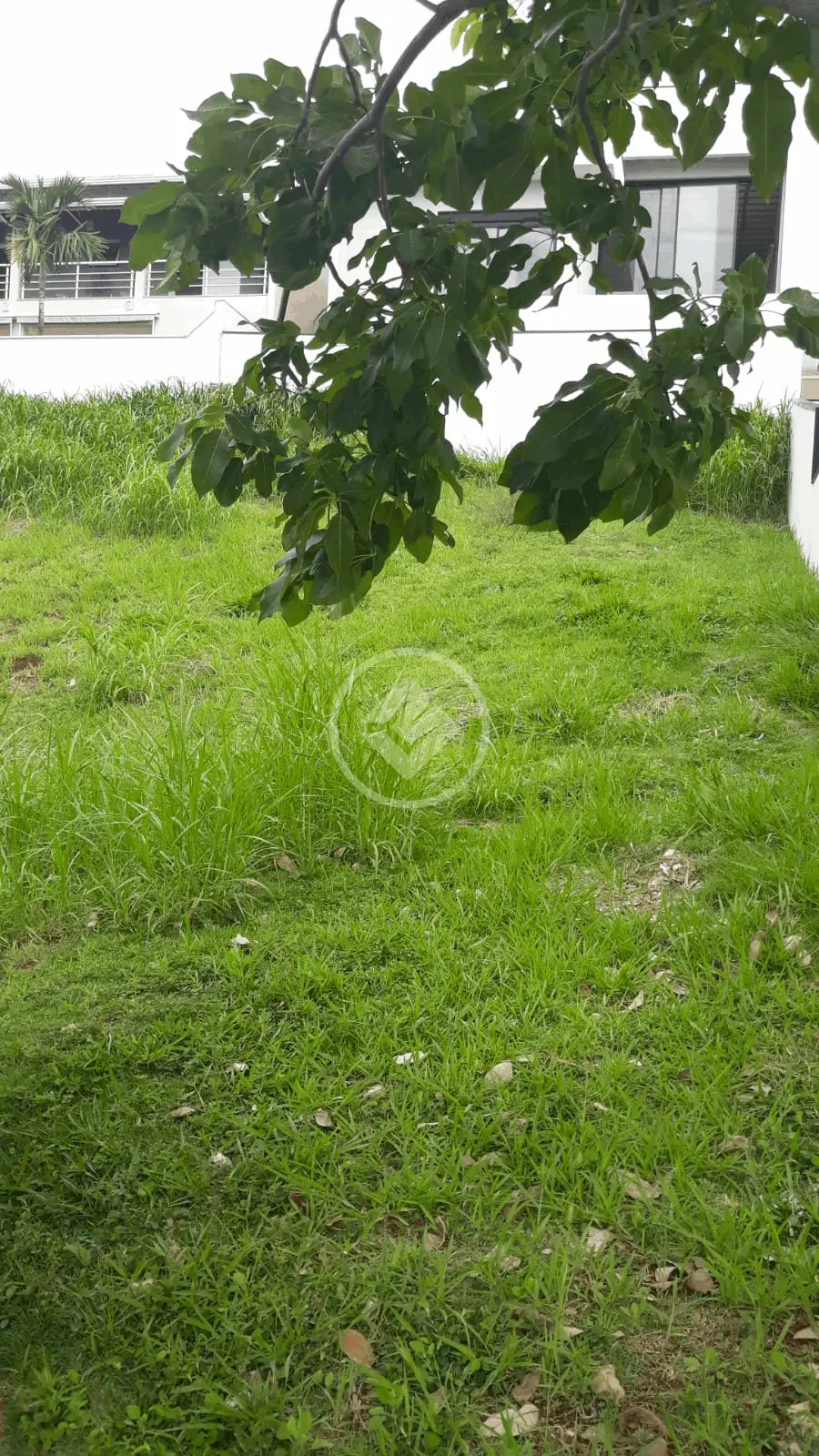 Imagem 4 - Terreno Condomínio em Roncáglia, Valinhos - SP