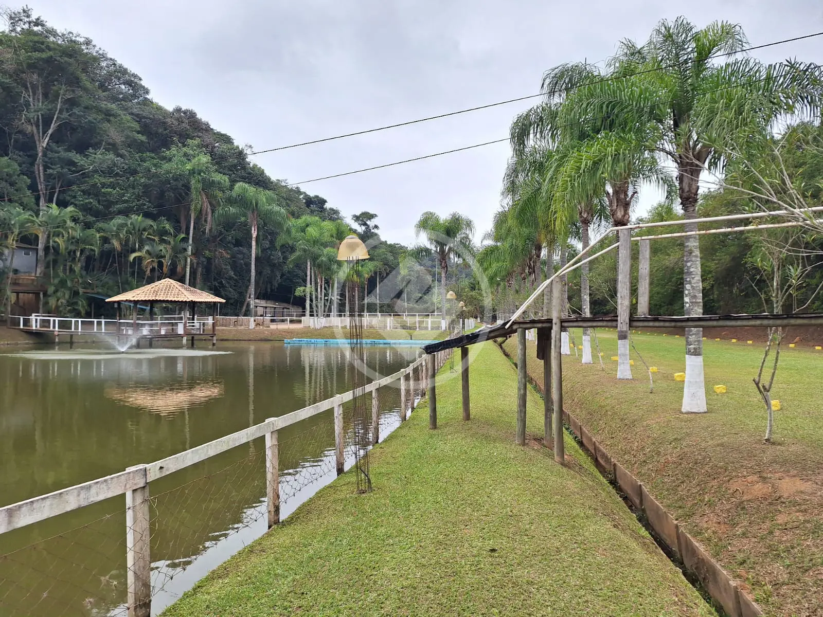 Imagem 3 - Sítio em Chácaras Alpina, Valinhos - SP